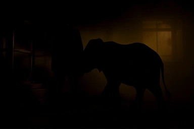 Symbolic representation of Edison's dark propaganda and the elephant incident.